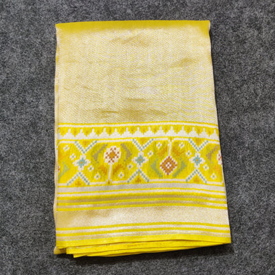 Banaras Tissue Patola silk saree - BRS32