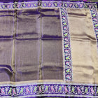 Banaras Tissue  Patola Saree – BRS51