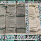 Banaras Tissue  Patola Saree – BRS55