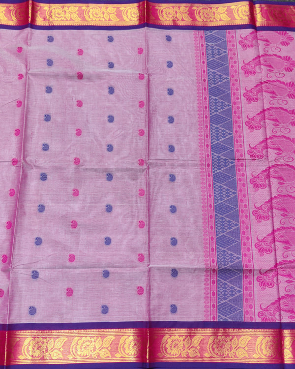 Madhurai cotton Saree - MS51 alternate view