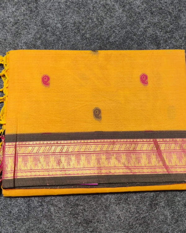 Madhurai cotton Saree - MS53