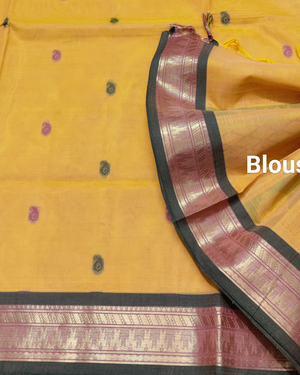 Madhurai cotton Saree - MS53 alternate view