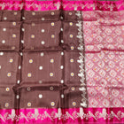 Benny silk meenakari saree - BS25