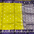 Benny silk meenakari saree - BS20