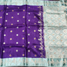 Benny silk meenakari saree - BS28