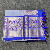 Kanchi Meenakari Handloom Lightweight Pure Silk Saree – KMP333