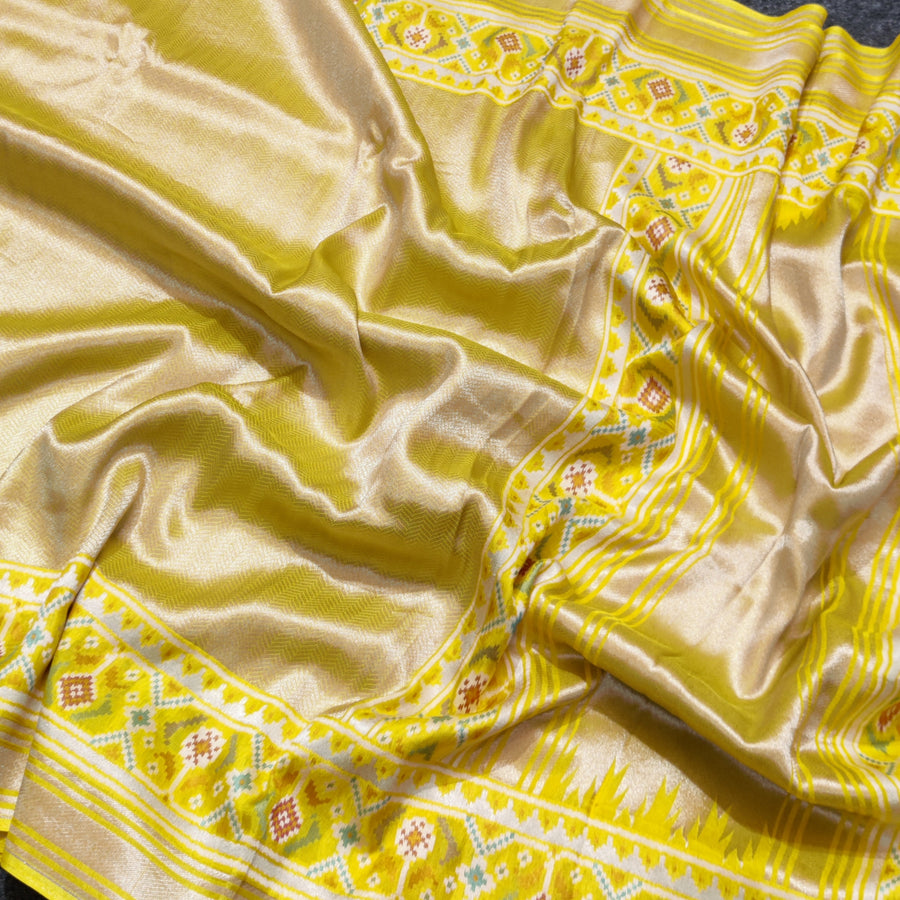 Banaras Tissue Patola silk saree - BRS32