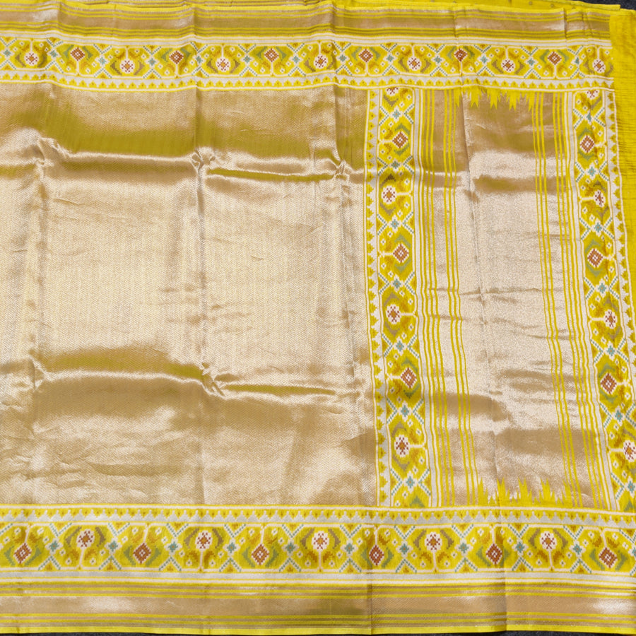 Banaras Tissue Patola silk saree - BRS32