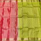 Kanchi Pure Silk Small Border Saree – KMP274