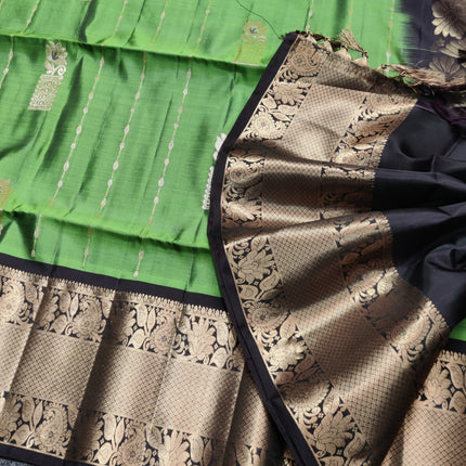 Meenakari kanchi lightweight pattu Saree - KMP3148