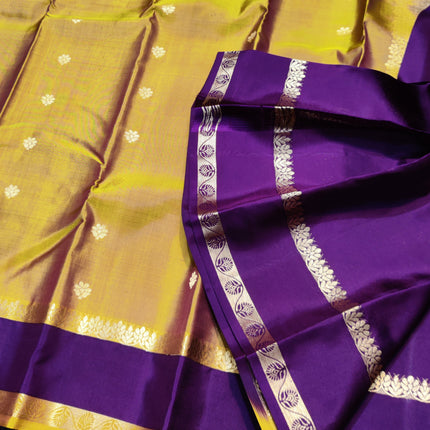 Kanchi Handloom Vintage Gap Border - KMP3004