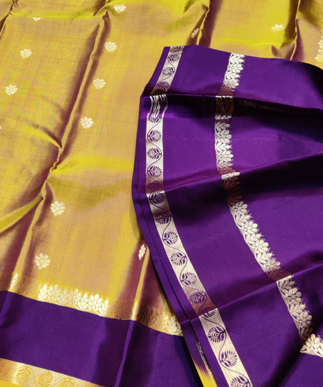 Kanchi Handloom Vintage Gap Border - KMP3004