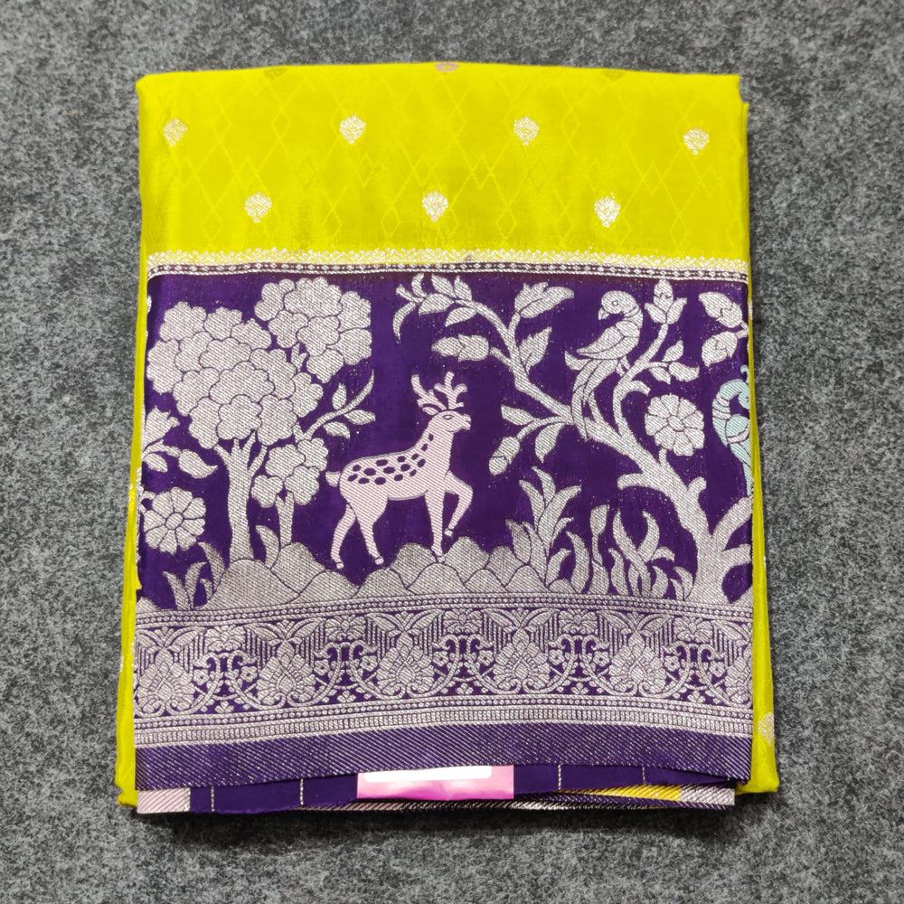Chinon crepe silk Saree- C02