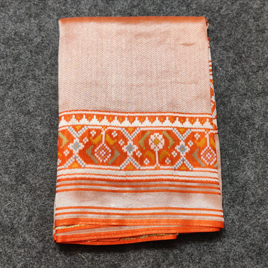 Banaras Tissue Patola silk saree - BRS33
