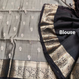 Kanchi Meenakari Handloom Lightweight Pure Silk Saree – KMP257