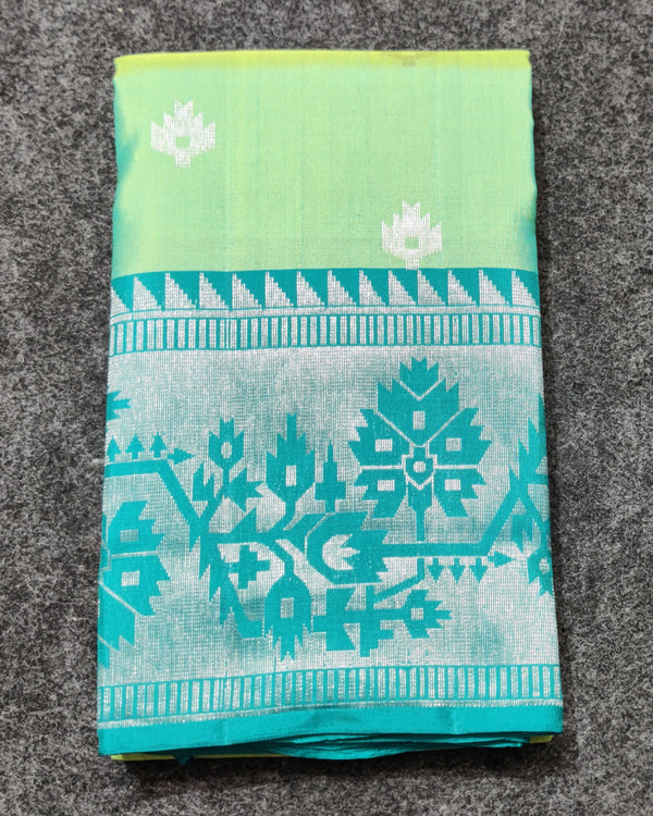 Vaidurya pattu handloom saree - V02