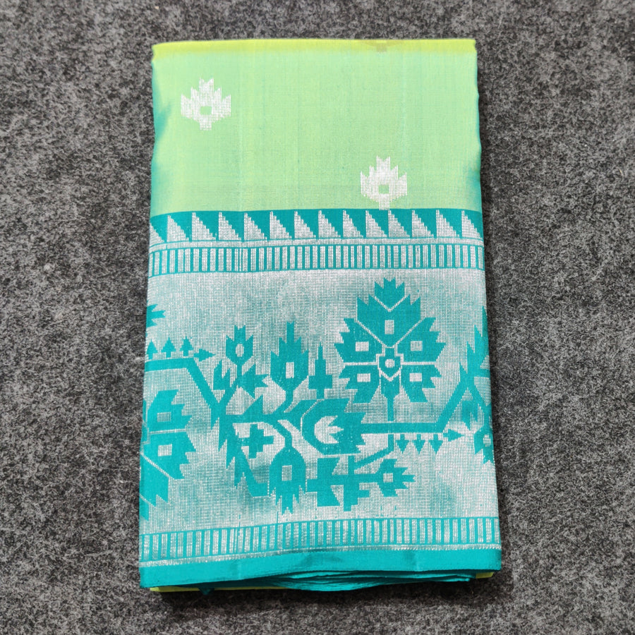 Vaidurya pattu handloom saree - V02