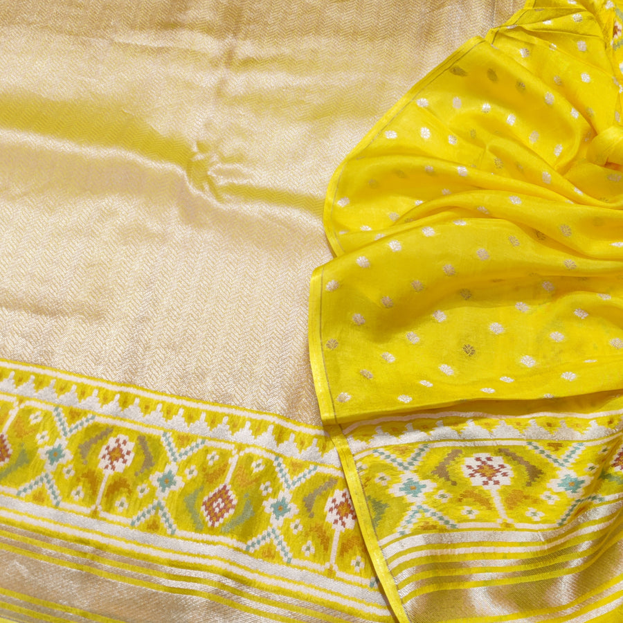 Banaras Tissue Patola silk saree - BRS32