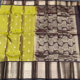 Kanchi Vintage Gap border pattu - KMP249