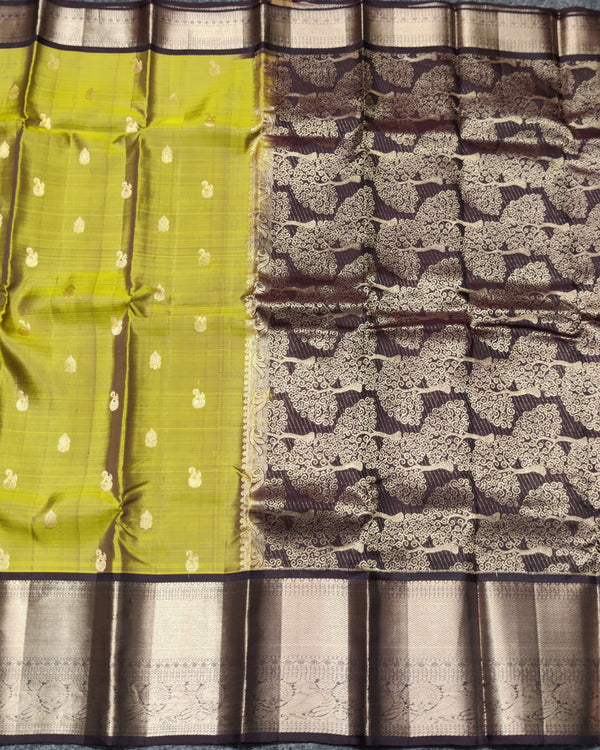 Kanchi Vintage Gap border pattu - KMP249 alternate view