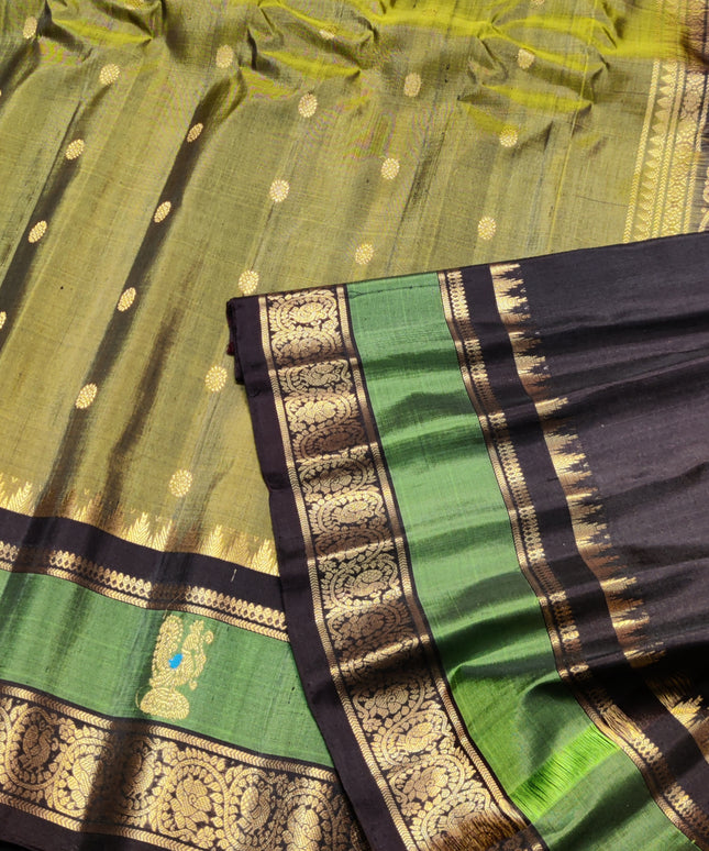 Gadwal Handloom Gap Border saree - GPS92