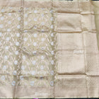 Banaras Tissue Allover Meenakari - BRS44