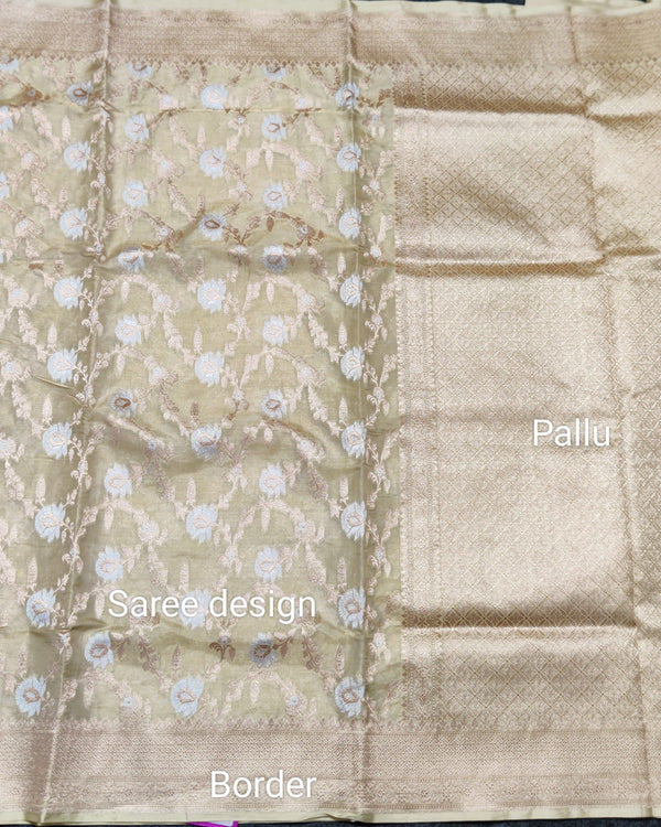 Banaras Tissue Allover Meenakari - BRS44 alternate view