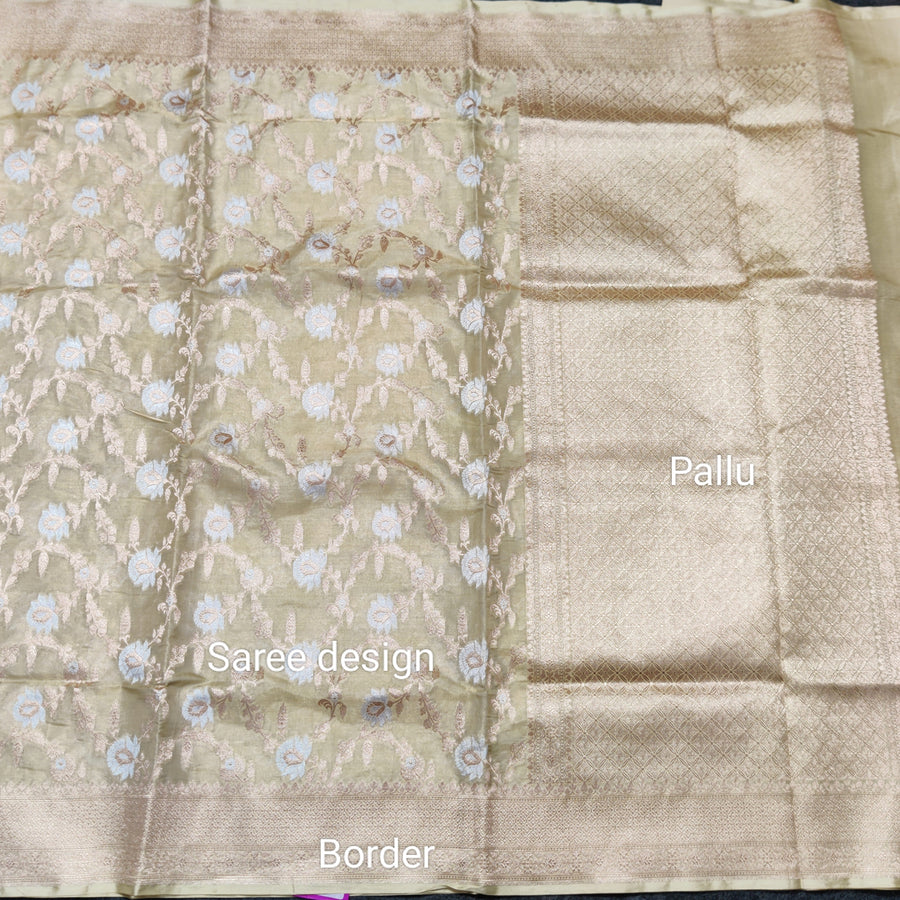 Banaras Tissue Allover Meenakari - BRS44