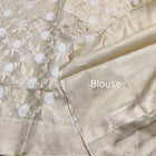 Banaras Tissue Allover Meenakari - BRS44