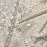 Banaras Tissue Allover Meenakari - BRS44