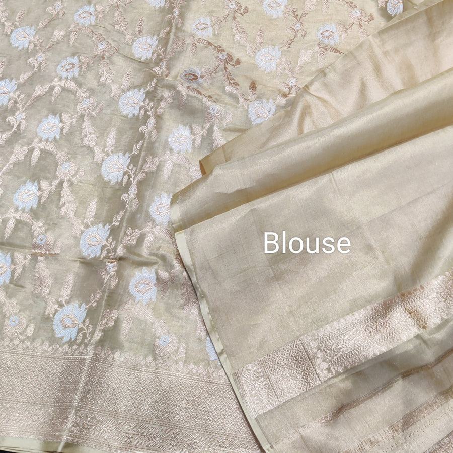 Banaras Tissue Allover Meenakari - BRS44