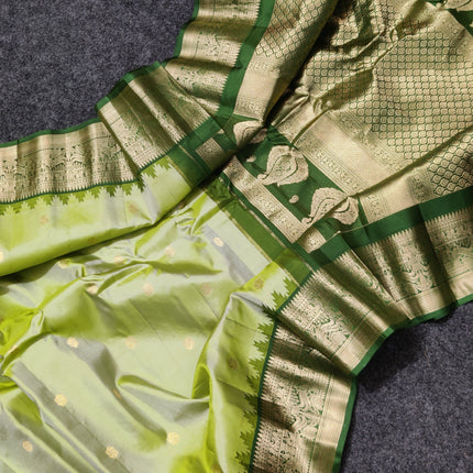 Gadwal Handloom Pure silk saree - GPS167