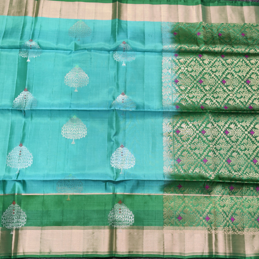 Lightweight pattu Scurt Border Saree - LWP142