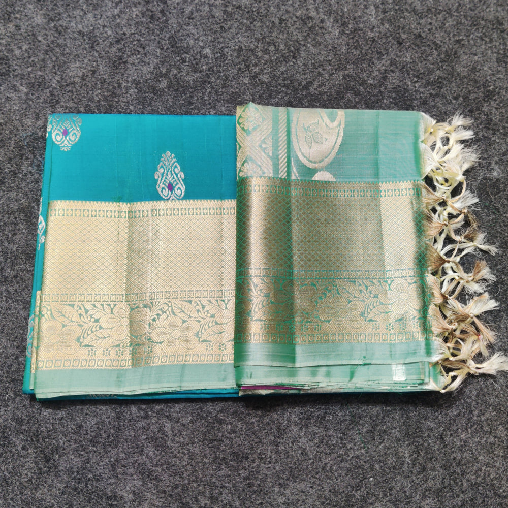 Kanchi Meenakari Handloom Lightweight Pure Silk Saree – KMP258