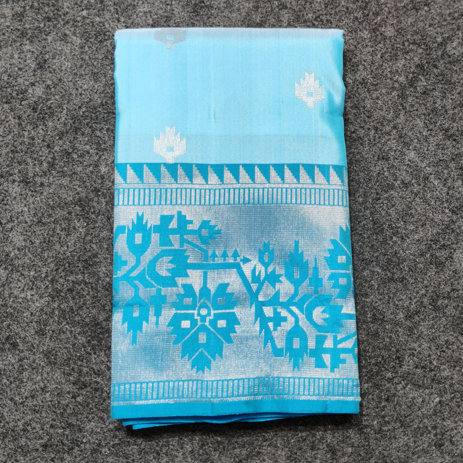 Vaidurya pattu handloom saree - V04
