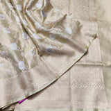 Banaras Tissue Allover Meenakari - BRS44