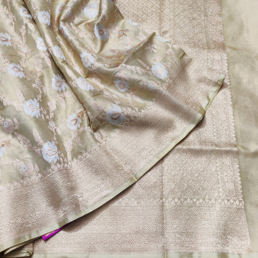 Banaras Tissue Allover Meenakari - BRS44