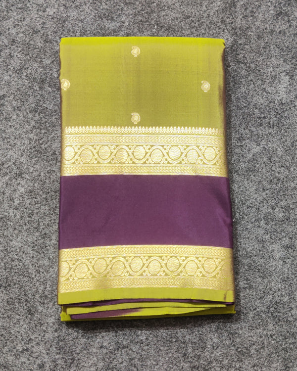 Kanchi Handloom Vintage Gap Border - KMP3