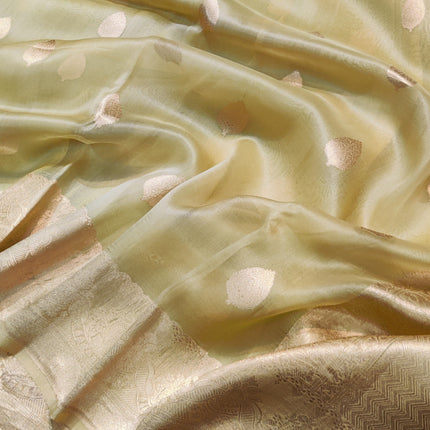 Organza Silk Saree -ORK23