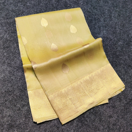 Organza Silk Saree -ORK23
