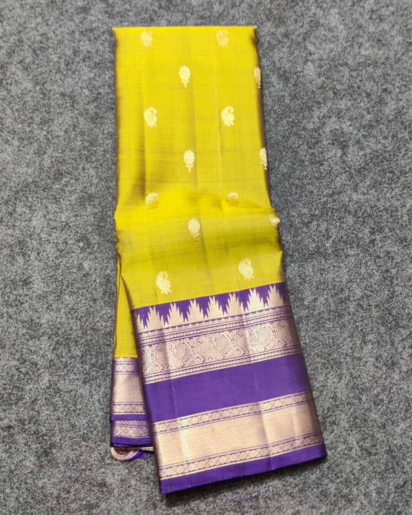 Kanchi Vintage Gap border pattu - KMP270