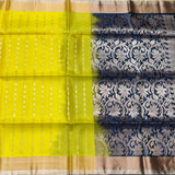 Uppada jamdani Pattu - LWP63