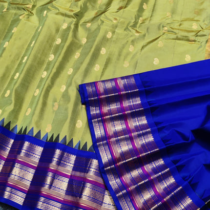 Gadwal Handloom Pure silk saree - GPS168