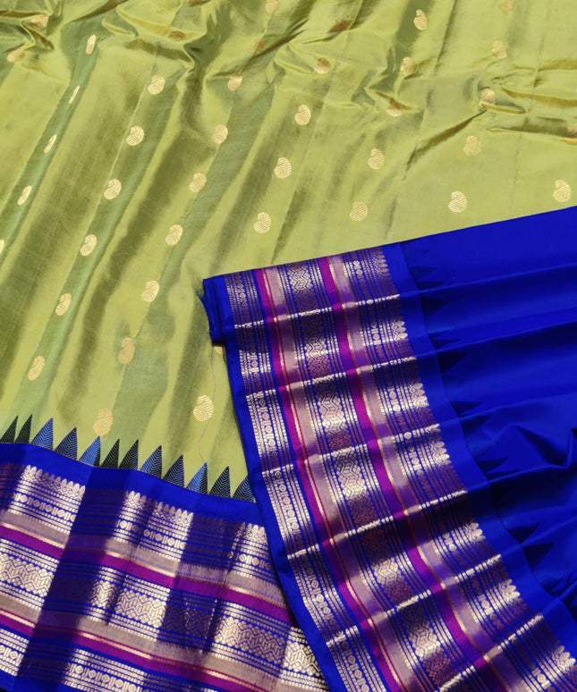 Gadwal Handloom Pure silk saree - GPS168