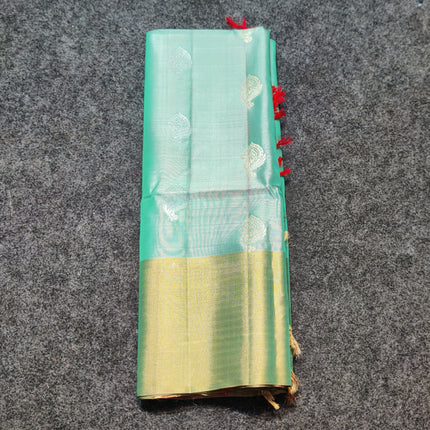 Lightweight pattu - LWP1173