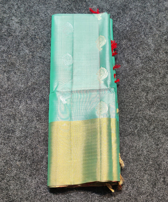 Lightweight pattu - LWP1173