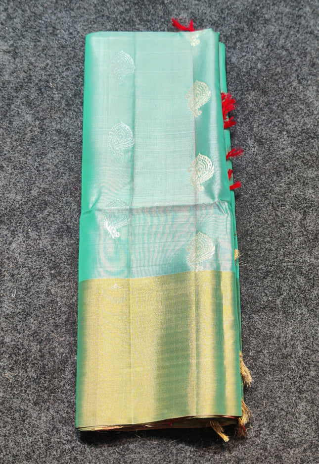 Lightweight pattu - LWP1173