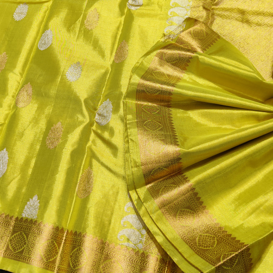 Kanchi Pure Handloom Tissue Silk Saree - KMP240
