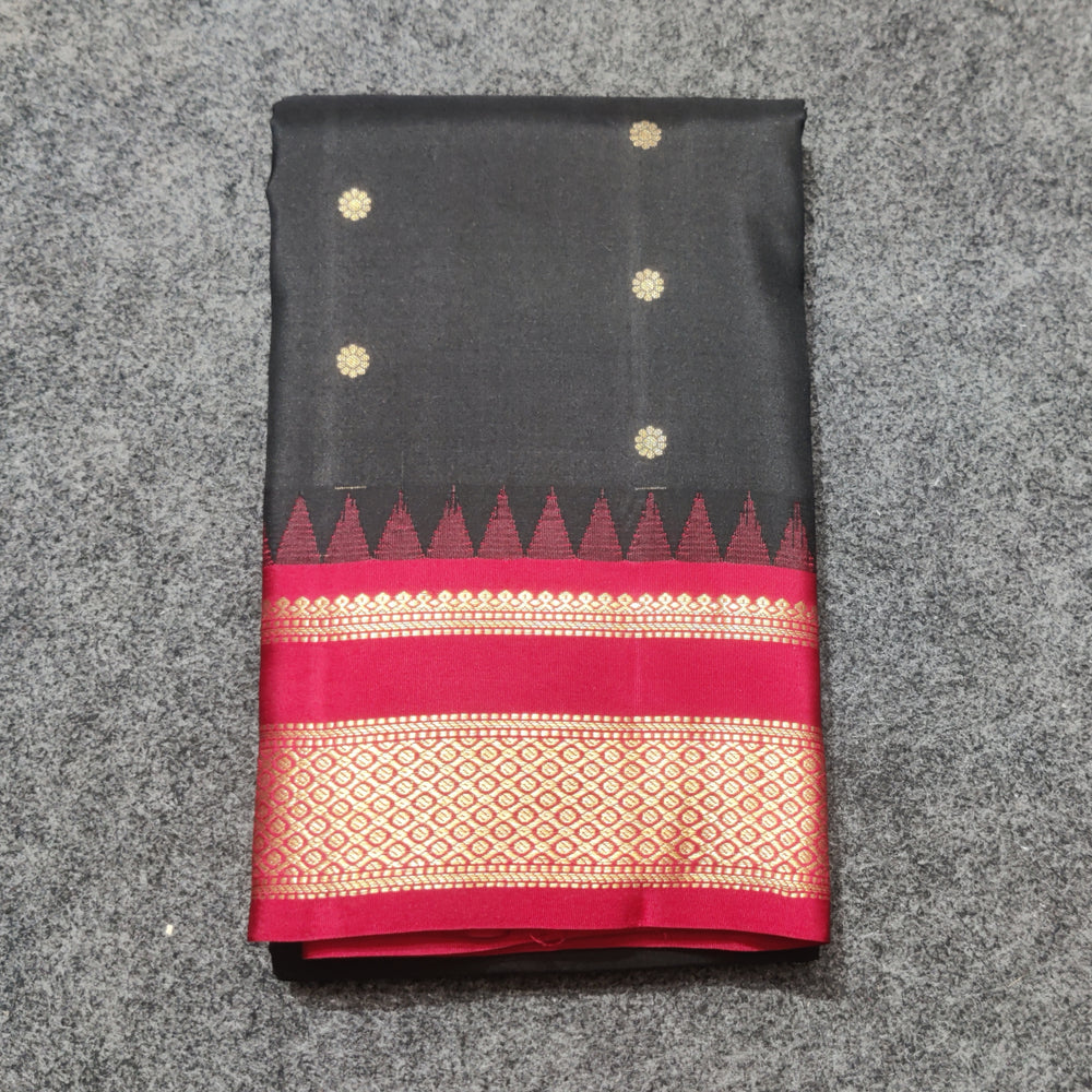 Kanchi Handloom Vintage Gap Border - KMP31