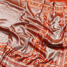 Banaras Tissue Patola silk saree - BRS33